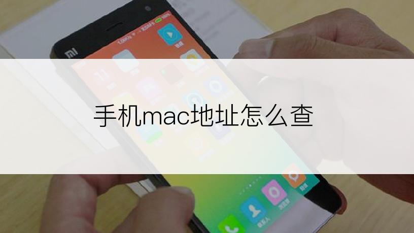 手机mac地址怎么查