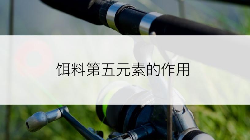 饵料第五元素的作用