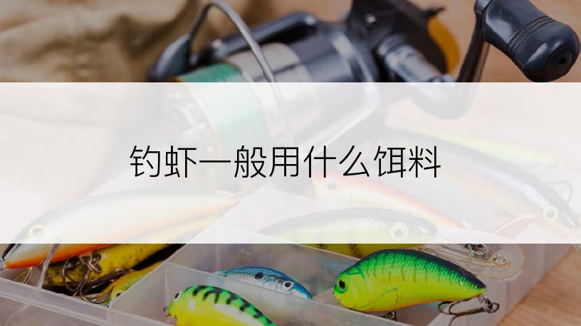 钓虾一般用什么饵料