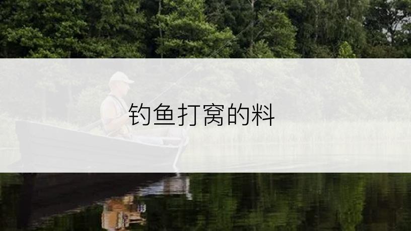 钓鱼打窝的料