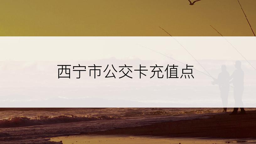 西宁市公交卡充值点