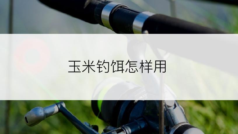 玉米钓饵怎样用